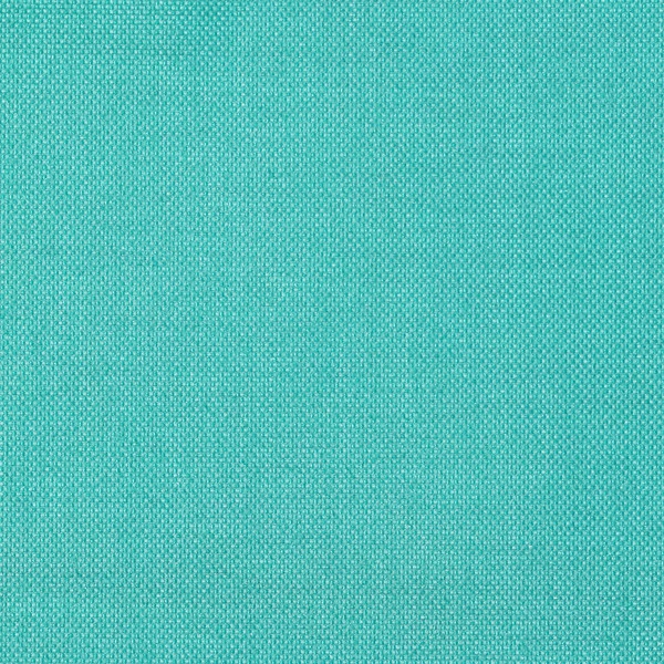 Cordura® Classic 1000D Aquamarine 60" Fabric