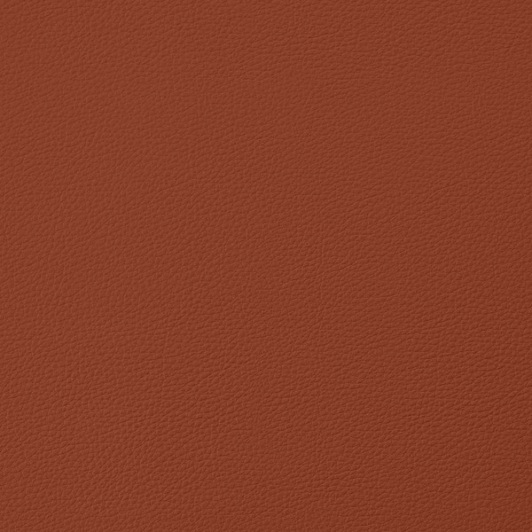 EverSoft™ Indoor/Outdoor Rust 54" Vinyl Fabric