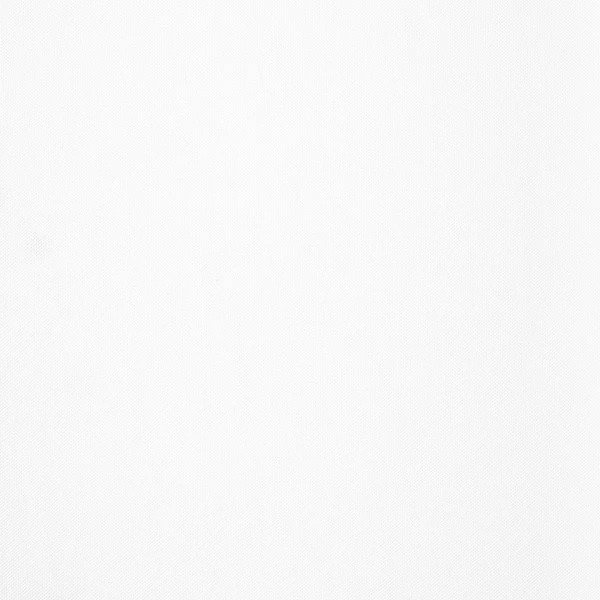 Mesh Polyester White 42"