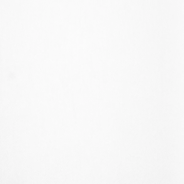 Mesh Polyester White 54"