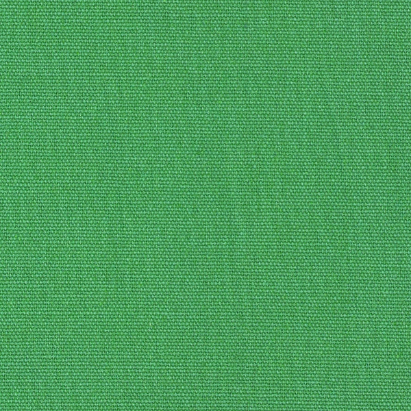 Nimbus™ Cotton Duck 12 oz. Green 57” Fabric