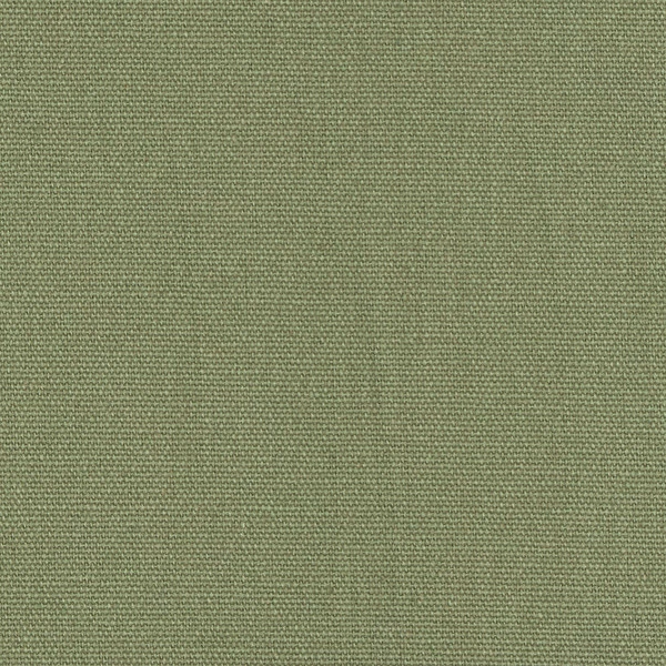 Nimbus™ Cotton Duck 12 oz. Olive 57” Fabric