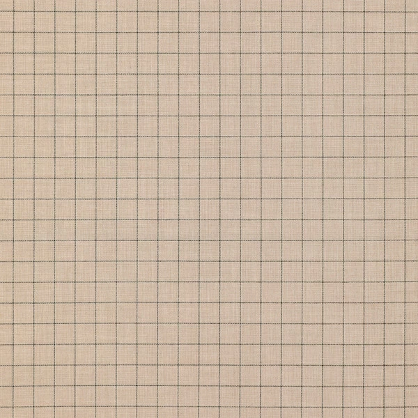 Sunbrella® 48138-0002 Context Linen 54" Upholstery Fabric